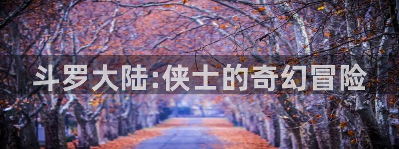 禁漫天堂的官网：斗罗大陆:侠士的奇幻冒险